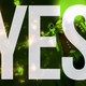 Image for article titled Should You Buy Saints Row: The Third? Yes.